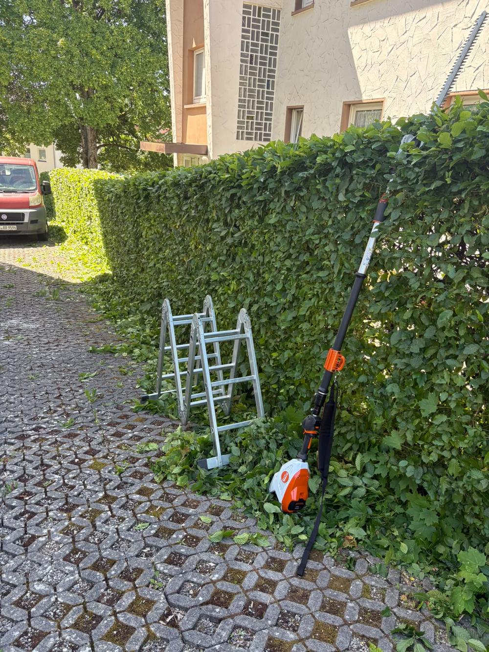 Teleskop-Heckenschere und Leiter an frisch geschnittener Hecke
