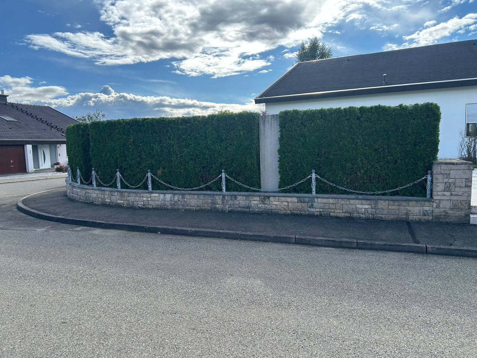 Perfekt geschnittene Thuja-Hecke